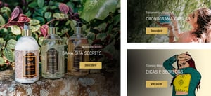 avani_img_3-2048x938